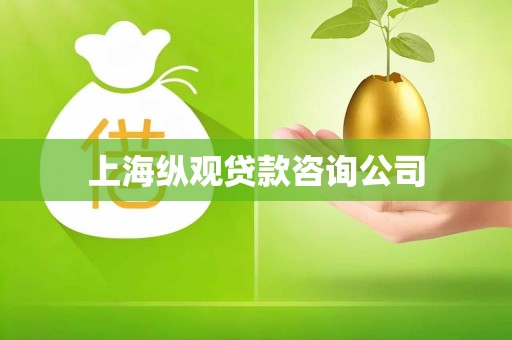 上海纵观贷款咨询公司